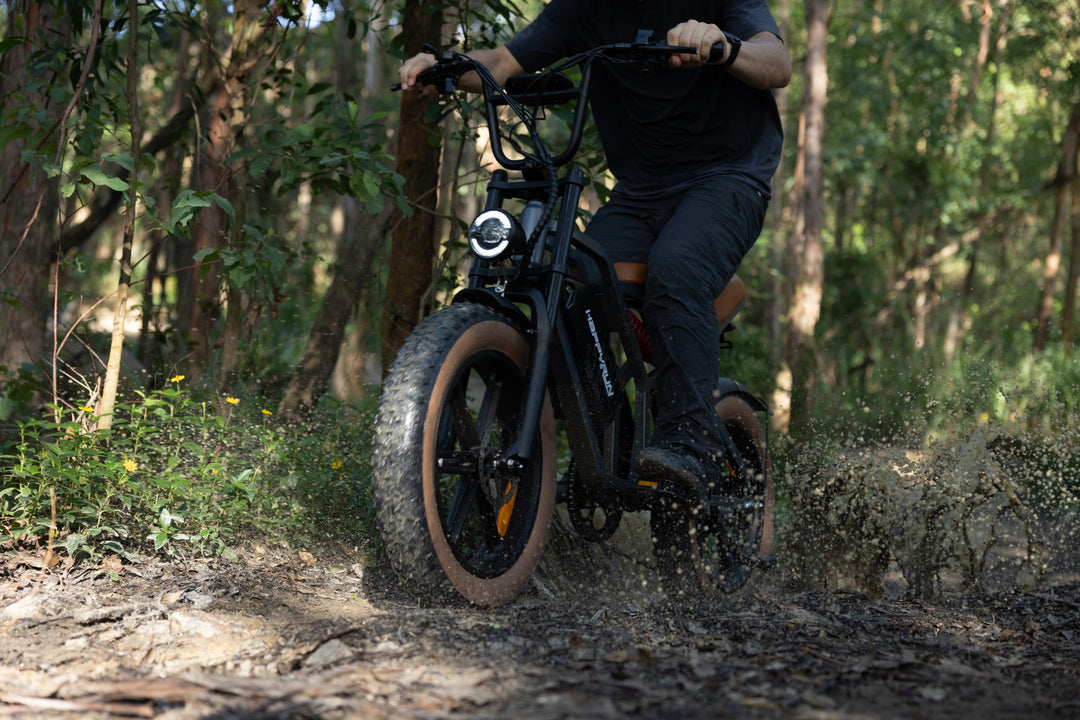 long range electric bike mountain