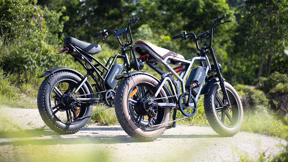 HappyRun G50&G60 750W all-terrain off-road electric bike