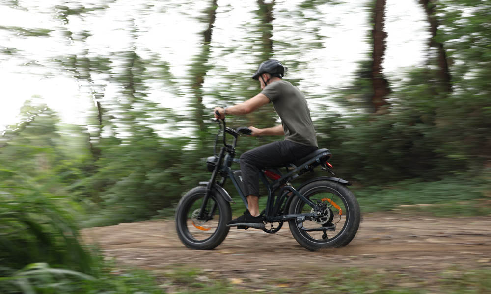 HappyRun Tank G60 Pro moped-sytle offroad 1000W electric bike