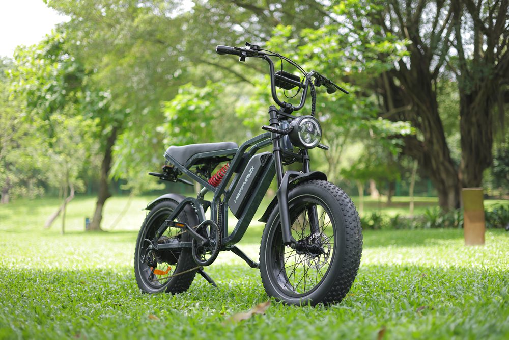 Electric Bike Problems, and How to Fix Them?