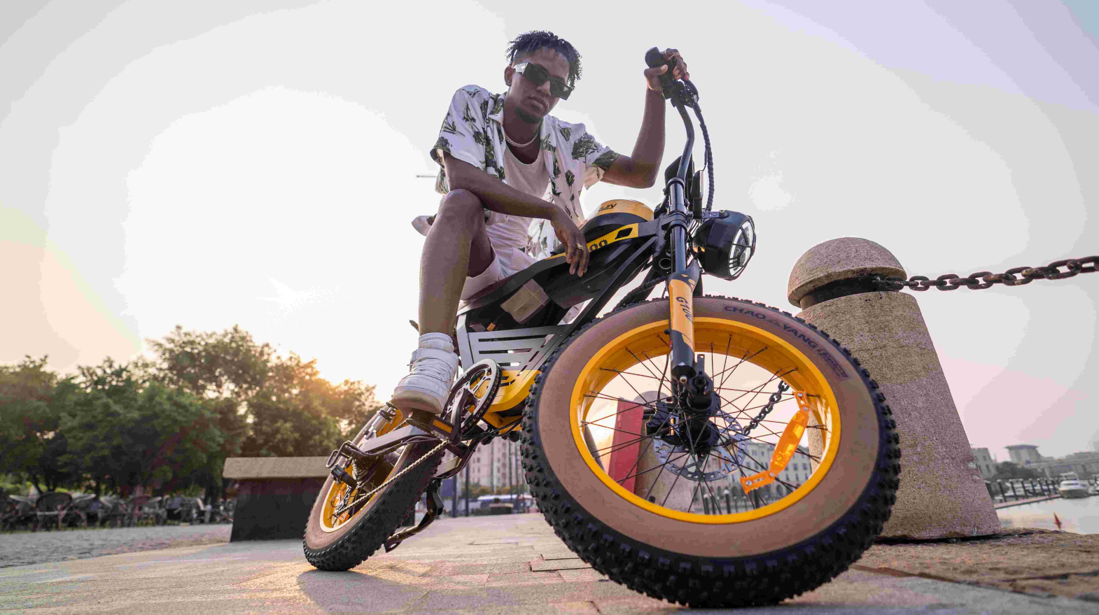 Choosing Your E-Bike Partner: Hub Motor vs. Crank Drive Motor