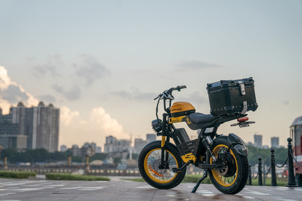 Electric Bike Weight Limits