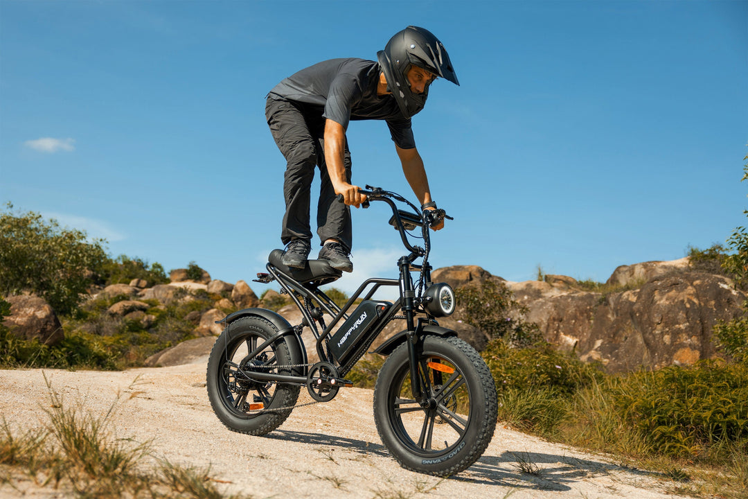 HappyRun G50 750W all-terrain off-road electric bike