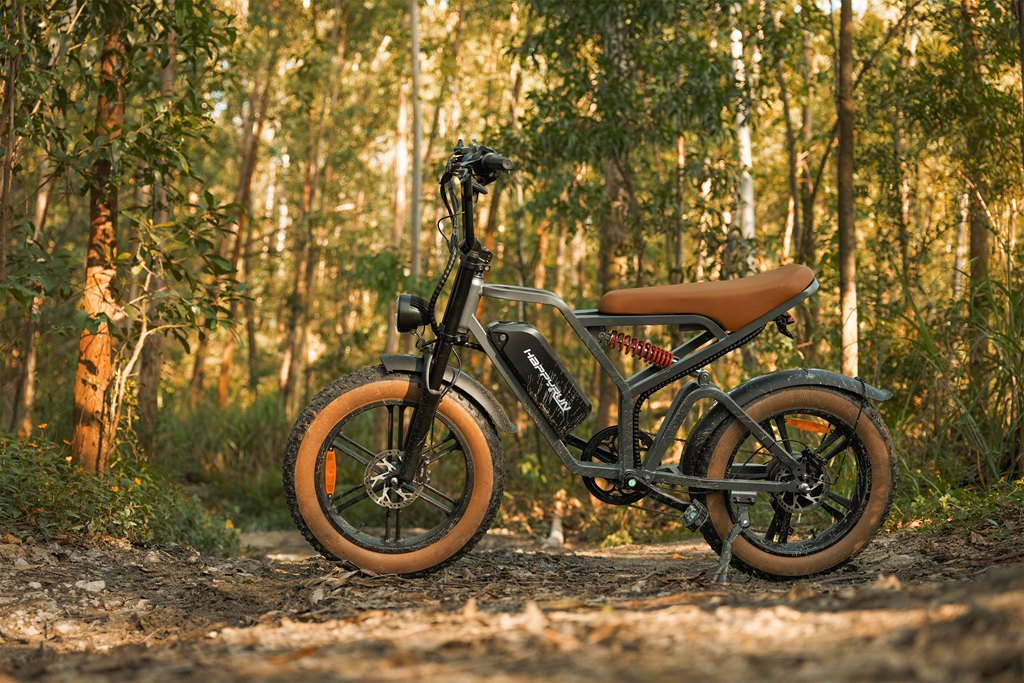 Which High Torque Fat Tire eBike Excels in Deep Snow Conditions?