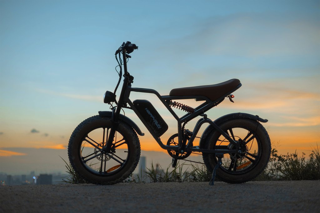What Makes a Foldable Electric Bike for Two Ideal for Extend