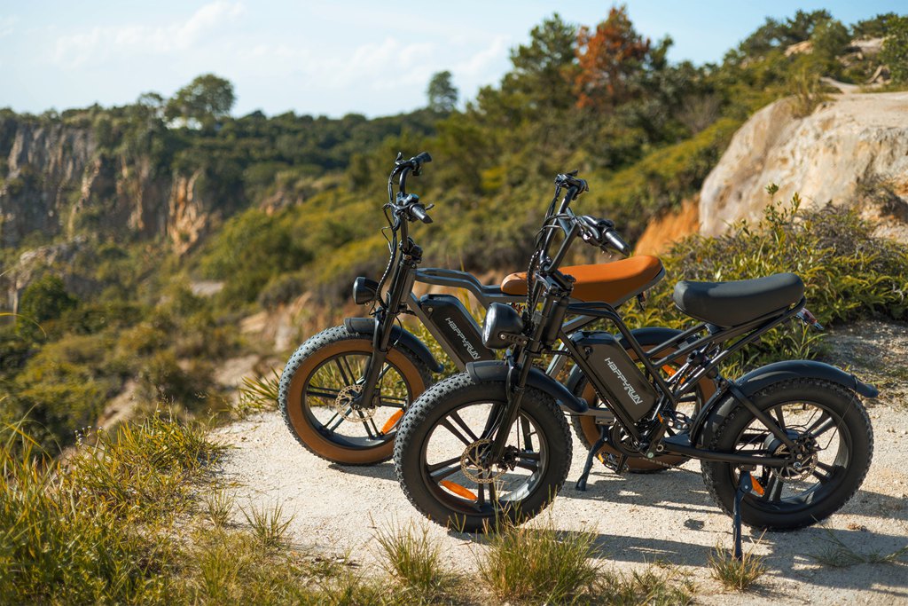 How to Choose The Best 750 Watt Electric Bike For Commuting