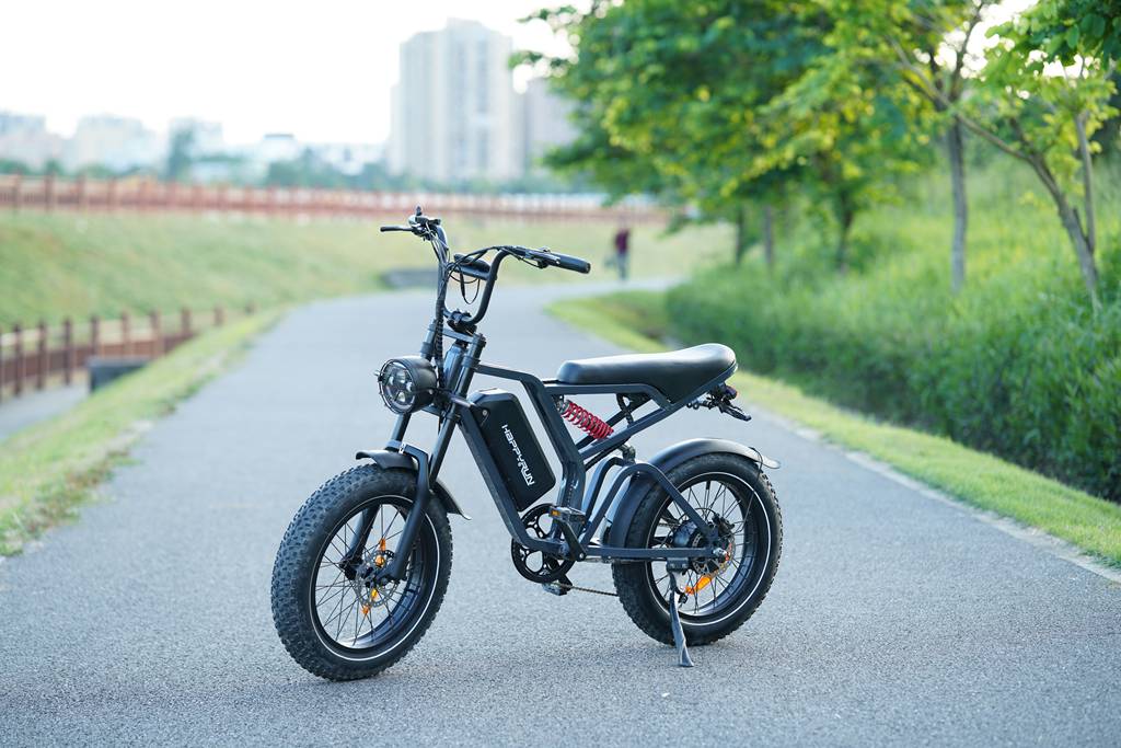 What Are the Benefits of a 2000 Watt Electric Bike?