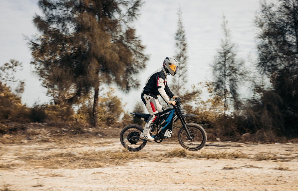 HappyRun electric dirt bike G300 Pro