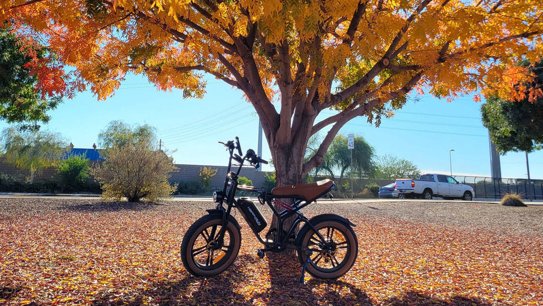 HappyRun G60 750W all-terrain off-road electric bike