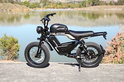 Inexpensive Electric Motorbikes For Recreational Use photo