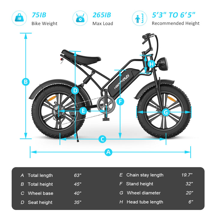 Electric Bike Cargo Black City E-bike For Sale Tank G50 size chart