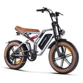 Happyrun Tank G60 750W Electric Bike Fat Tire Dirt All Terrain