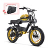 HappyRun G100 Fastest Electric Bike 2000W Dual Batteries Long Range Motorcycle